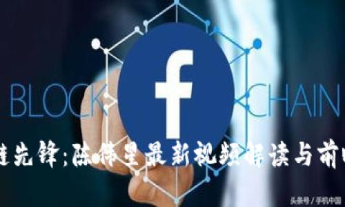 区块链先锋：陈伟星最新视频解读与前瞻分析