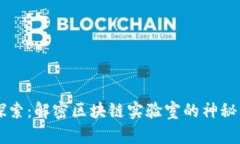 币探索：解密区块链实验室的神秘面纱