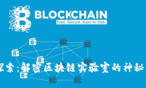 币探索：解密区块链实验室的神秘面纱