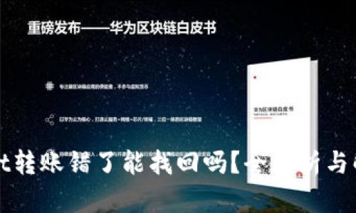 TPWallet转账错了能找回吗？全解析与解决方案