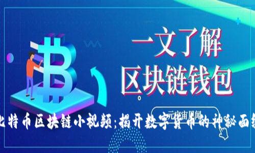 比特币区块链小视频：揭开数字货币的神秘面纱