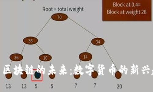 探索Pi币与区块链的未来：数字货币的新兴趋势与潜力