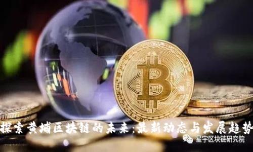 探索黄埔区块链的未来：最新动态与发展趋势