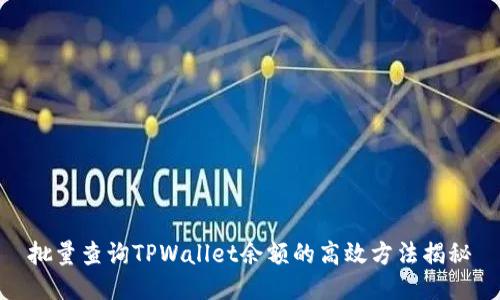 批量查询TPWallet余额的高效方法揭秘