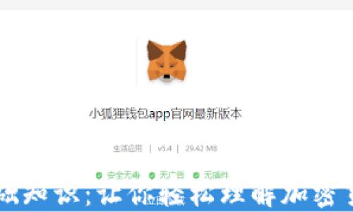 
区块链币入门基础知识：让你轻松理解加密货币的魅力与未来