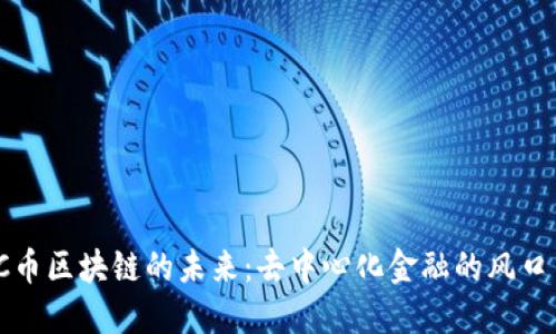 探索SC币区块链的未来：去中心化金融的风口与挑战