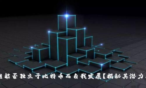区块链能否独立于比特币而自我发展？揭秘其潜力与前景