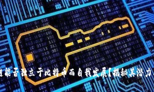 区块链能否独立于比特币而自我发展？揭秘其潜力与前景