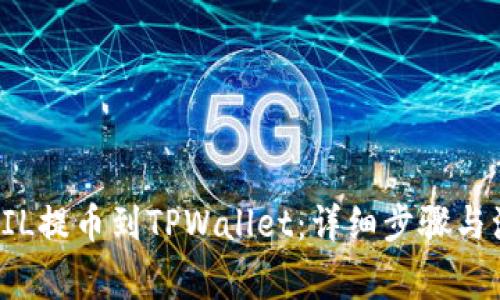 如何将FIL提币到TPWallet：详细步骤与注意事项