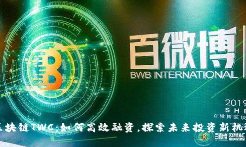 区块链TWC：如何高效融资，探索未来投资新机遇
