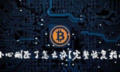 TPWallet不小心删除了怎么办？完整恢复指南及使用