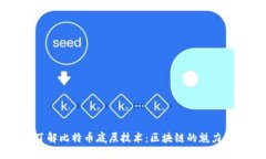 深入了解比特币底层技术：区块链的魅力与应用