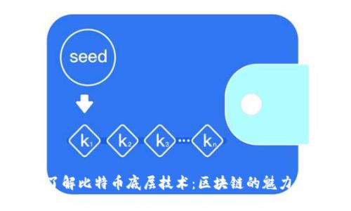 深入了解比特币底层技术：区块链的魅力与应用
