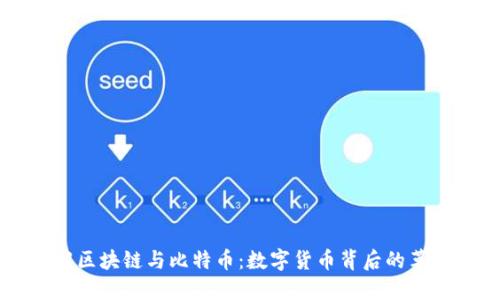 深入了解区块链与比特币：数字货币背后的革命性技术