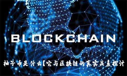 柚子币是什么？它与区块链的真实关系探讨