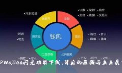 TPWallet闪兑功能下线，背后的原因与未来展望