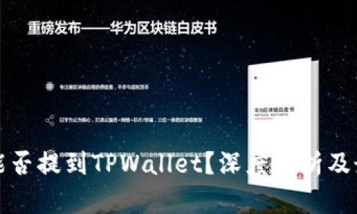 狗狗币能否提到TPWallet？深度解析及最新动态