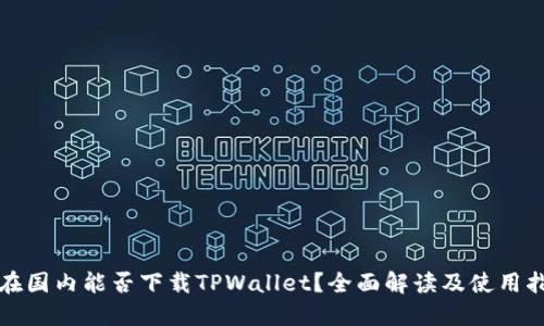 现在国内能否下载TPWallet？全面解读及使用指南