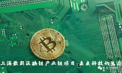 探索上海最新区块链产业链项目：未来科技的生态系统
