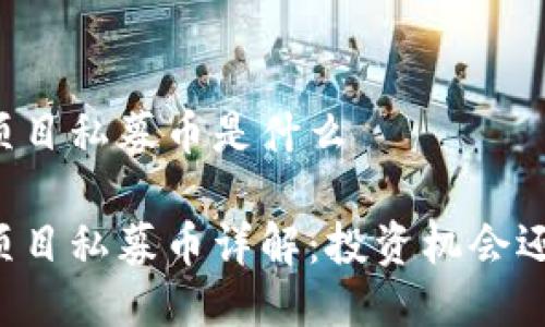 区块链项目私募币是什么

区块链项目私募币详解：投资机会还是风险？