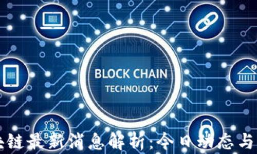 
洪流区块链最新消息解析：今日动态与市场展望