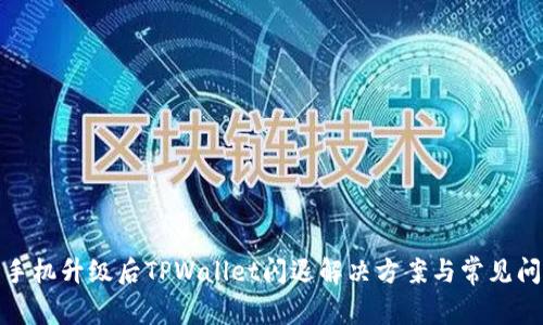 : 手机升级后TPWallet闪退解决方案与常见问题