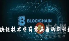 Pi币：区块链技术中崭露头角的新兴数字货币