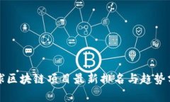 全球区块链项目最新排名与趋势分析