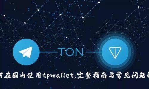 如何在国内使用tpwallet：完整指南与常见问题解答