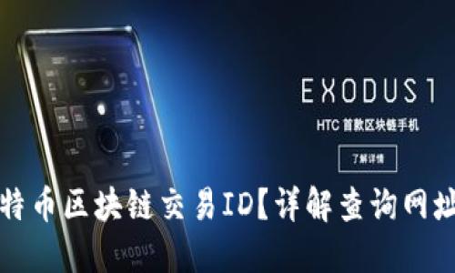 如何查询比特币区块链交易ID？详解查询网址及使用技巧