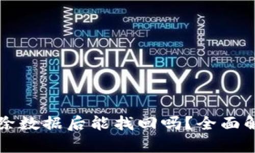 : tpWallet删除数据后能找回吗？全面解析和解决方案