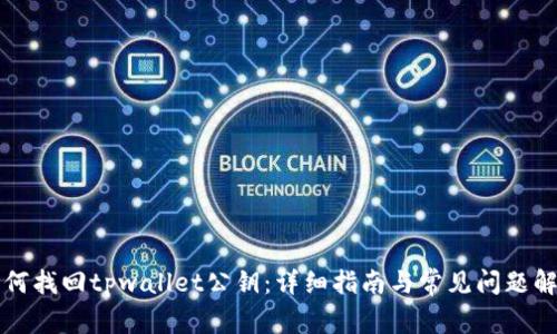 如何找回tpwallet公钥：详细指南与常见问题解析