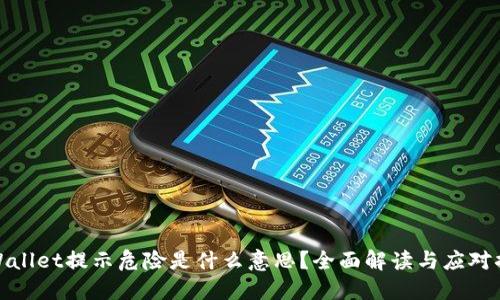 TPWallet提示危险是什么意思？全面解读与应对措施