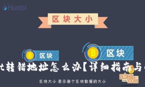 TPWallet转错地址怎么办？详细指南与解决方案