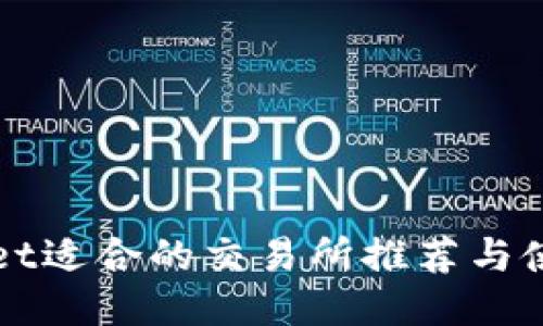 TPWallet适合的交易所推荐与使用指南