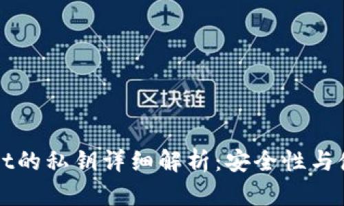 TPWallet的私钥详细解析：安全性与使用指导