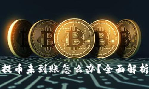 tpwallet提币未到账怎么办？全面解析解决方案