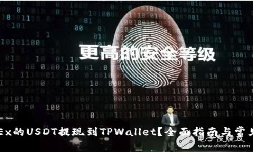 如何将OKEx的USDT提现到TPWallet？全面指南与常见问题解答