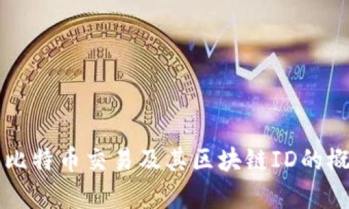 深入解析比特币交易及其区块链ID的概念与应用