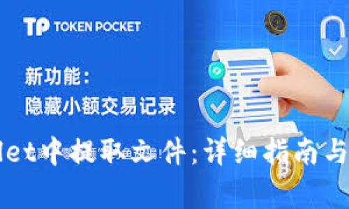 如何从TPWallet中提取文件：详细指南与常见问题解答