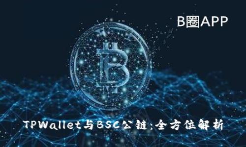 TPWallet与BSC公链：全方位解析