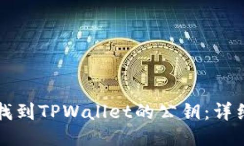 如何找到TPWallet的公钥：详细指南