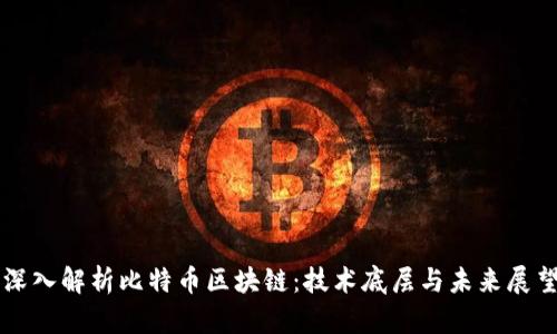 深入解析比特币区块链：技术底层与未来展望