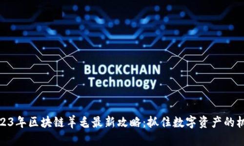 2023年区块链羊毛最新攻略：抓住数字资产的机会
