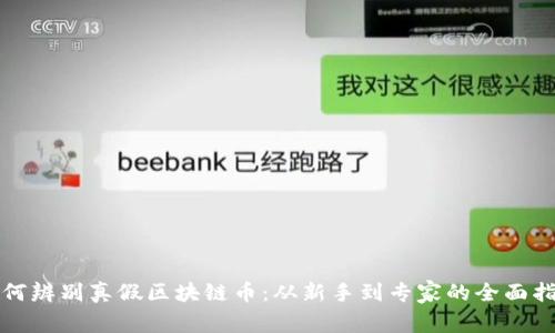 如何辨别真假区块链币：从新手到专家的全面指南